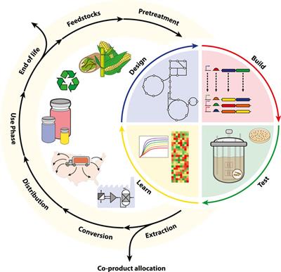 Translating advances in microbial bioproduction to sustainable biotechnology